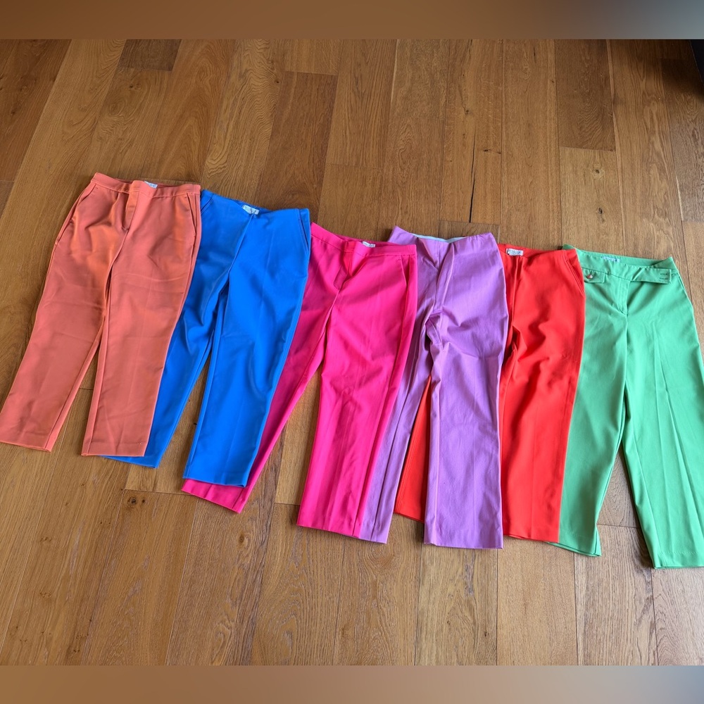 Lot of women’s size 2 Rachel Zoe ankle length  dress pants